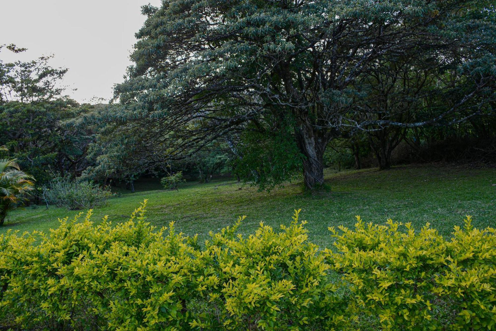 Las Marias Monteverde - Mountain View Cottages & Gardens Holiday home